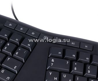     Microsoft Ergonomic Keyboard & Mouse Busines : : USB Multimedi