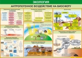 Плакат Антропогенное воздействие на биосферу 70x100