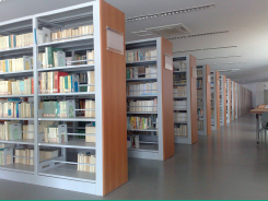Библиотечно-информационный центр в образовательных учреждениях различного уровня