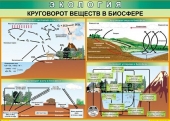 Плакат Круговорот веществ в биосфере 70x100