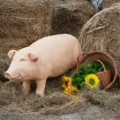 Свинья, садово-парковая скульптура