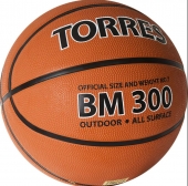   TORRES BM300 6