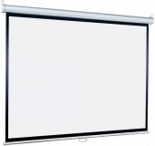 Экран настенный Lumien Eco Picture [LEP-100111] 120х160см (рабочая область 114х154 см) Matte White 