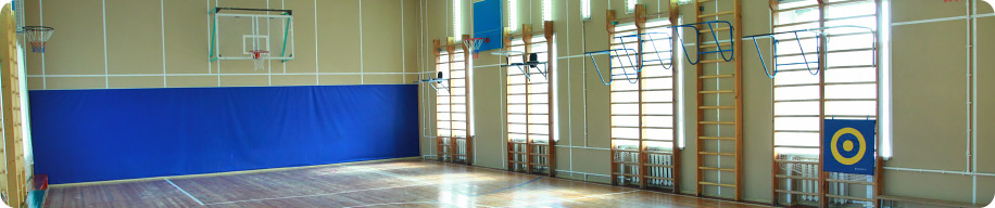 Школьный спортзал