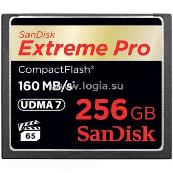   Sandisk Extreme Pro CompactFlash 256Gb (160/140 Mb/s)