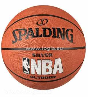   Spalding NBA Silver .7